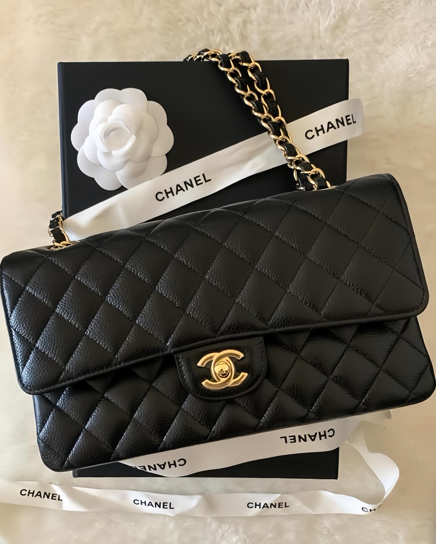 Chanel Bag