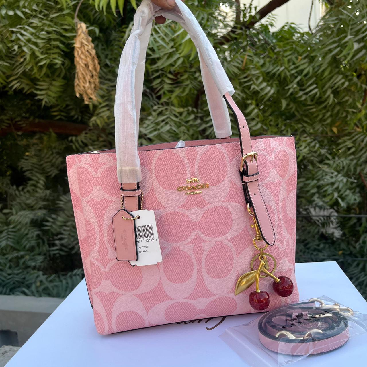 Coach Mollie Tote Bag