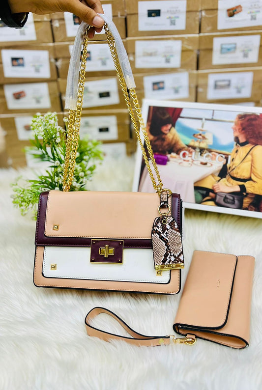 Aldo Byworth Crossbody Bag