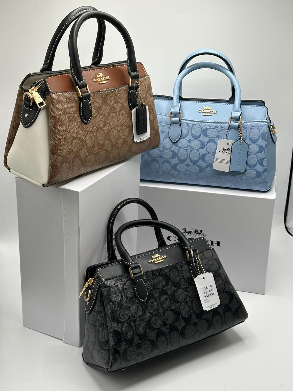 Coach Mini Darcie Carryall bag