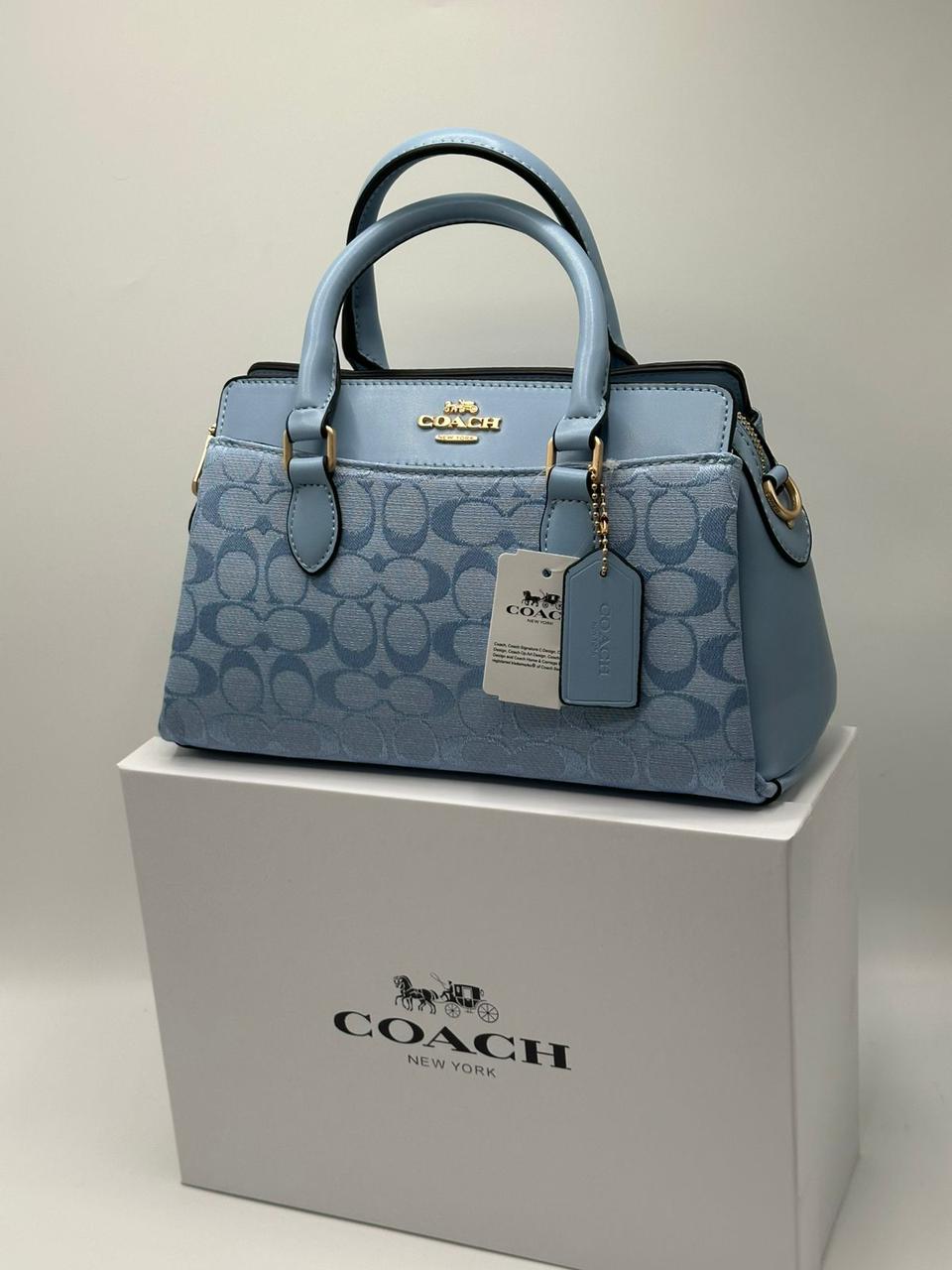 Coach Mini Darcie Carryall bag