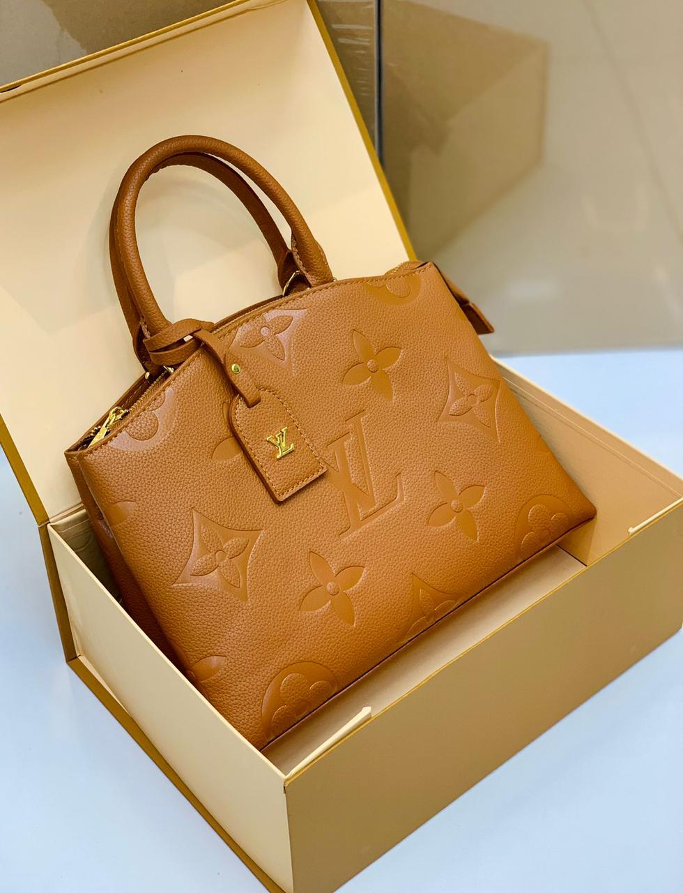 Louis Vuitton Bag
