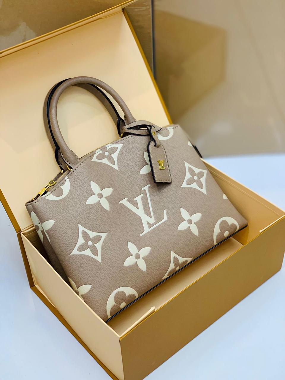 Louis Vuitton Bag