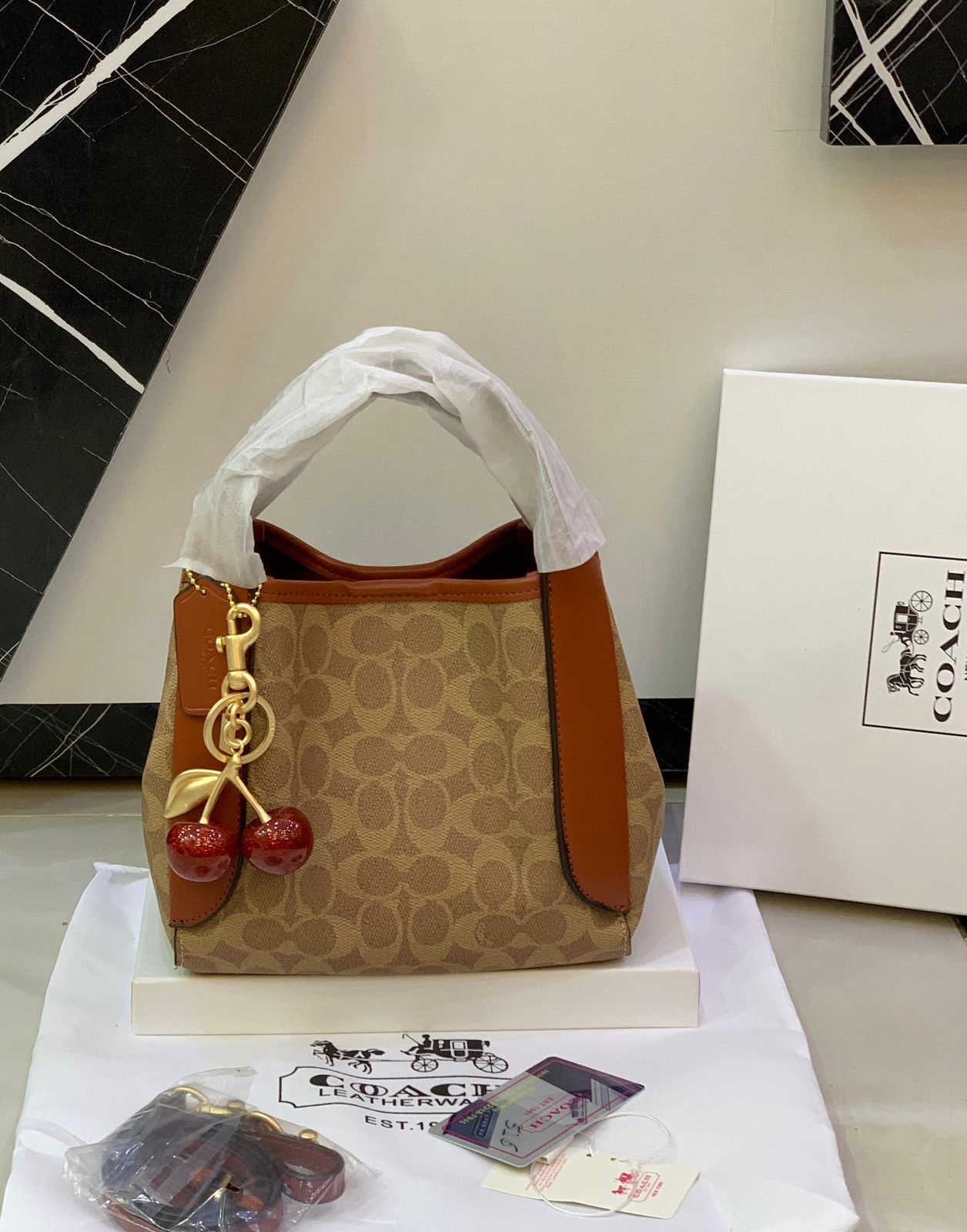 Coach Hadley Hobo Bag