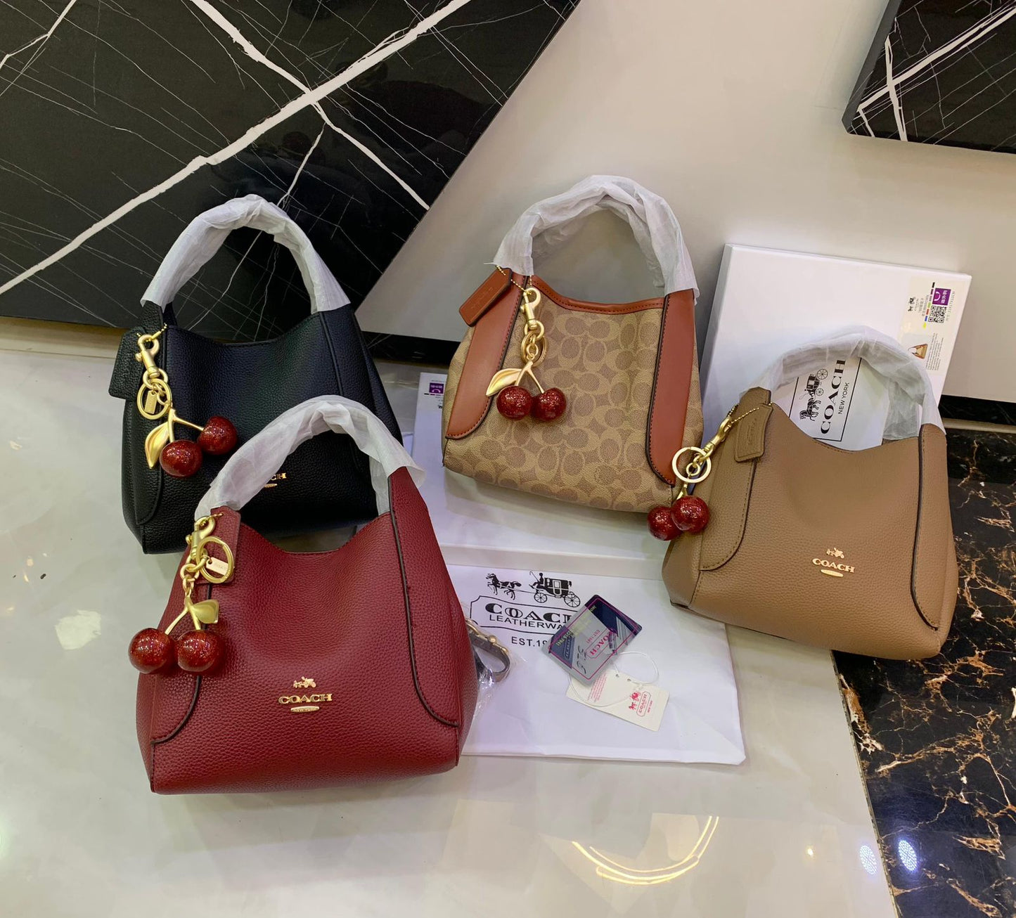 Coach Hadley Hobo Bag