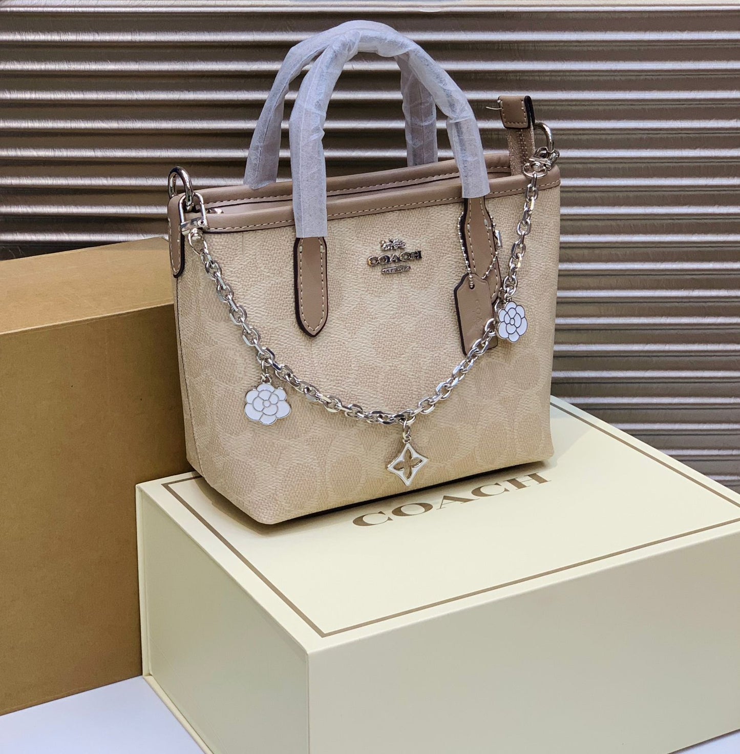 Coach City Tote Bag in the signature canvas
