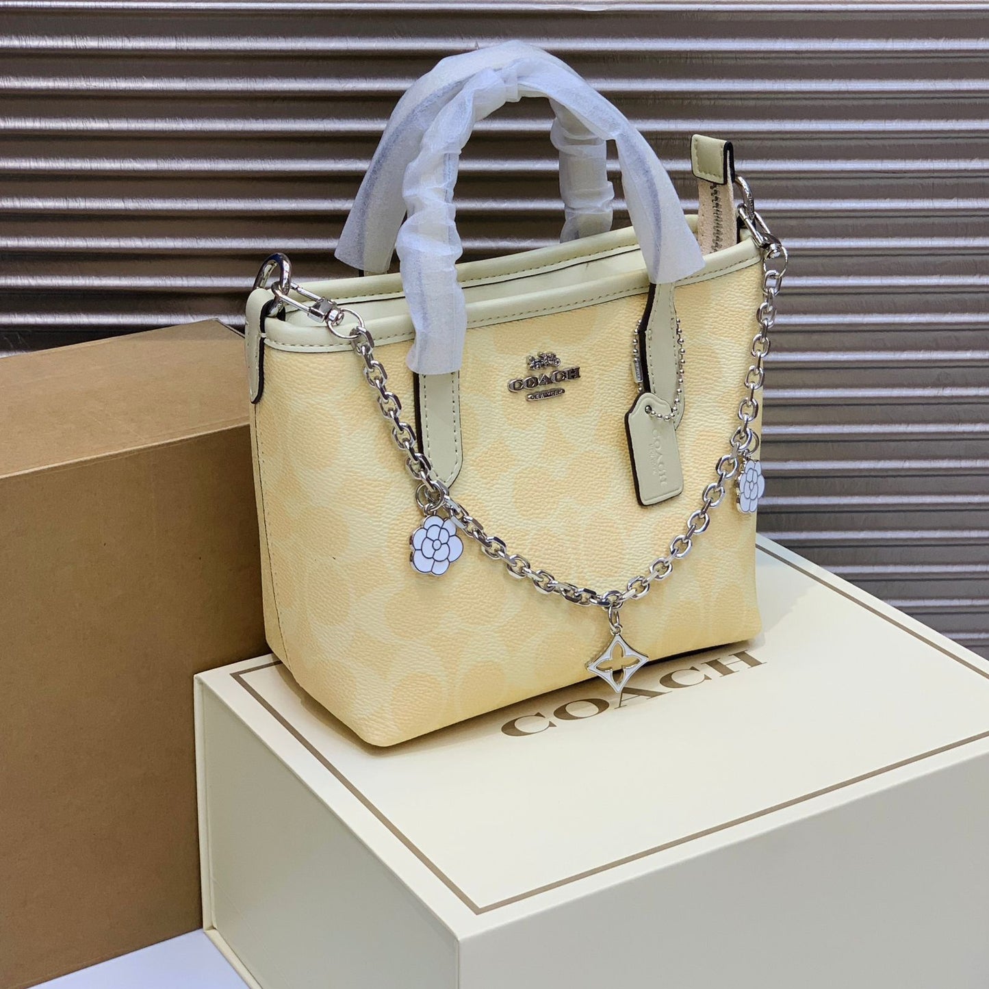 Coach City Tote Bag in the signature canvas