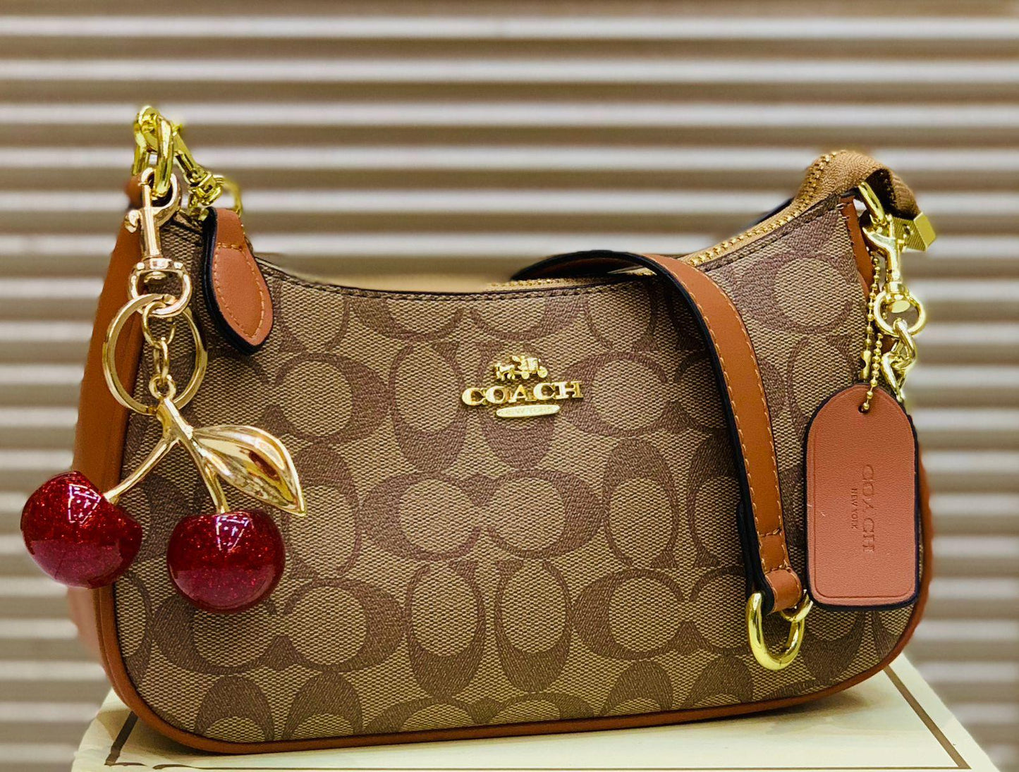 Coach Teri Bag